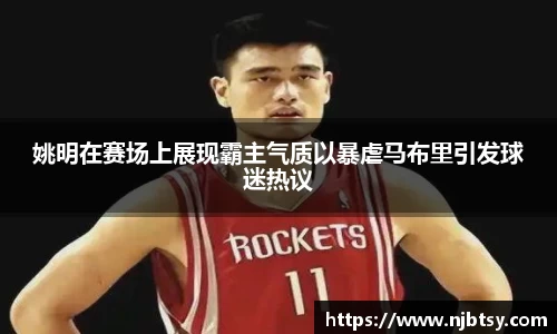 姚明在赛场上展现霸主气质以暴虐马布里引发球迷热议